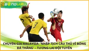 Chuyên gia Malaysia: 'Nhập tịch cầu thủ vì bóng đá thắng'