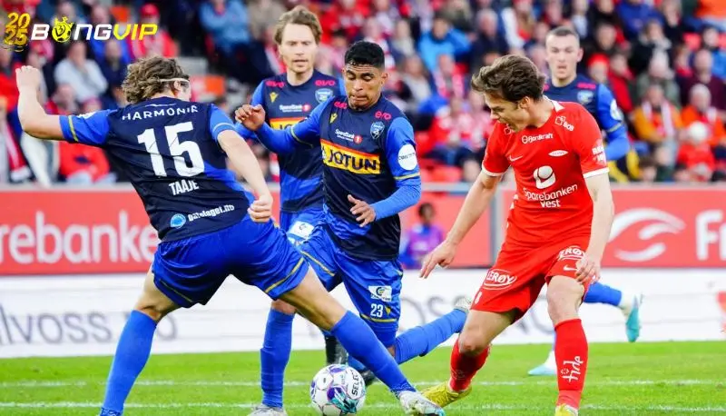 Soi kèo Brann vs Sandefjord 01/07 giải đấu VĐQG Na Uy Nhận định kèo chuẩn tại soi kèo Brann vs Sandefjord