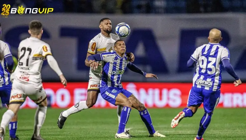 Nhận định, soi kèo Criciuma vs Avai FC 28/06 Hạng 2 Brazil Dự đoán đội hình ra sân tại soi kèo Criciuma vs Avai FC