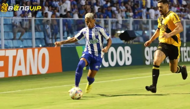 Nhận định, soi kèo Criciuma vs Avai FC 28/06 Hạng 2 Brazil Nhận định kèo tại chuyên gia soi kèo Criciuma vs Avai FC