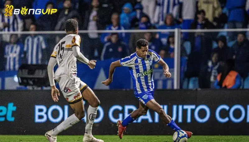 Nhận định, soi kèo Criciuma vs Avai FC 28/06 Hạng 2 Brazil Phong độ gần đây của Criciuma: Tự tin khi đá sân nhà