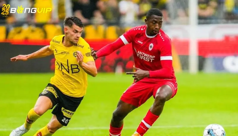 Nhận định, soi kèo HamKam vs Brann 05/07 giải đấu VĐQG Na Uy Phong độ Brann tại soi kèo HamKam vs Brann