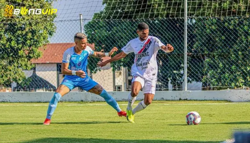 Soi kèo Paysandu vs Ferroviaria 01/07 Hạng 2 Brazil Dự đoán đội hình ra sân tại soi kèo Paysandu với Ferroviaria